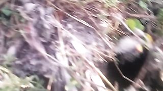 Animals lovers 180