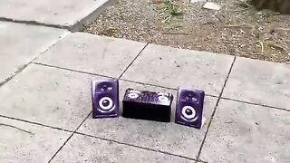 party bird