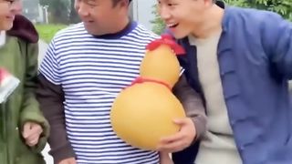 Funny shorts video 5