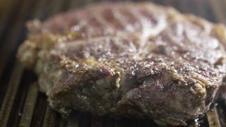"Plates of the World: Capturing Culinary Delights on Camera"