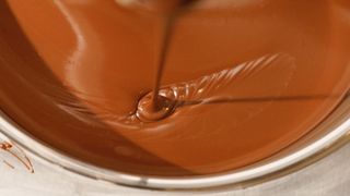 "Chocolate Temptations: Savoring the Art of Cocoa"