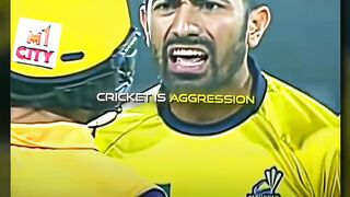cricket ag