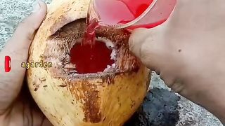 a new method of planting banana and coconut cruciferous hybrid trees from start to fruition