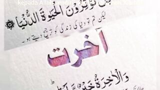 video 247