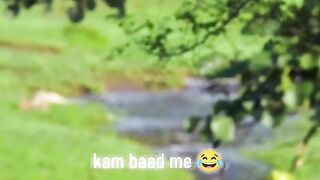 Funny Lion Viral Video 2
