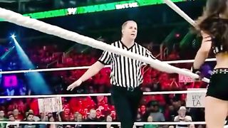 WWE реслинг 239