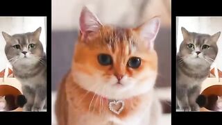 Billie Eillish - bad guy - Cats version