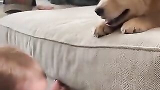 Baby kisses puppy