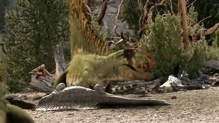 How did the planet change during the age of the dinosaurs_ And what did he look like