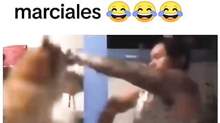 Don't miss this video 2