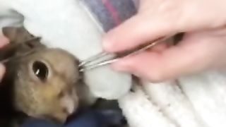 Girl help this mouse