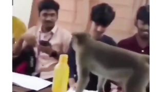 Funny | Teaching Attempts: When They Gave It Their Best Shot! | FunFM