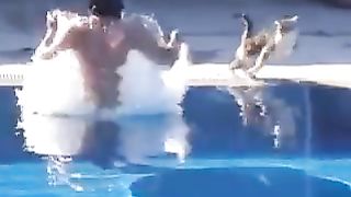 video funny cat compalition 2