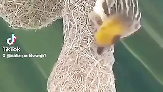 وہ ھی خدا ہے سبحان اللہ