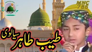Tayyab Tahir siavi    MNC786