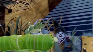 Best Cartoon Movie 2