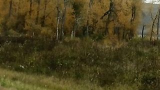Fall in Canada 2