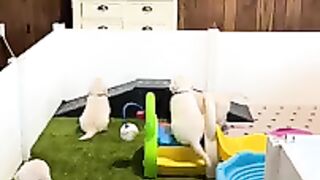 Детский сад 2