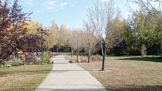 Sunny autumn