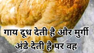 GK QUIZ hindi 11