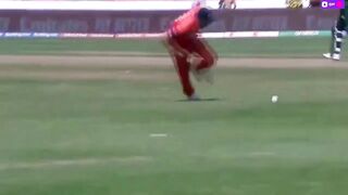 Pakistan vs Netherland Full Highlights ICC Cricket World Cup 2023.