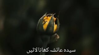 نبی کریم ﷺکی حضرت عائشہ سے محبت