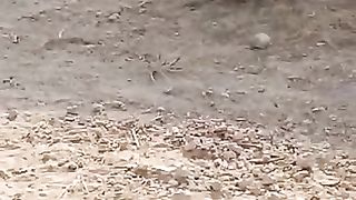 Serunya anak kecil