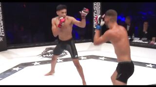 Most crazy KOs in MMA 2023!!