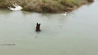 Catch me if you can..????????????????