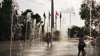 "Embracing Life's Tapestry: A Journey Through Moments"