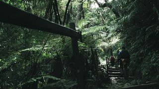 "Life Unveiled: Embracing the Journey"