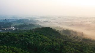 "Wild Wonders Unveiled: Exploring Earth's Beauty"