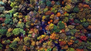 "Nature's Majesty: A Journey Through Earth's Splendor"