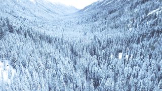 "Nature's Tapestry: A Portrait of Earth's Beauty"