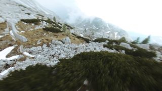 "Nature's Elegance: A Visual Tribute to Earth's Beauty"