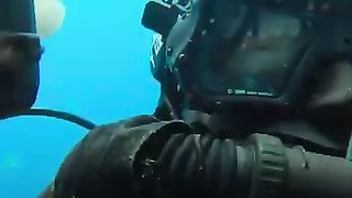Jellyfish 4