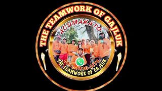 TANAM JAGUNG SISTEM GAJLUK BERSAMA ACUMAKATO 2