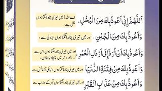 اسلامی معلومات 322