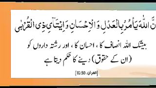 اسلامی معلومات 325