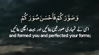Surah At Tagabun _ Ayah 3,4 _ Quran beautiful status _ Quran recitation _ QUran