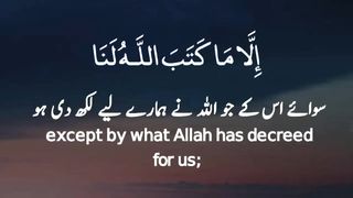 Surah At-Tawba _ Ayah 51 _ Quran Recitation _ Quran whatsapp status__ Quran tila