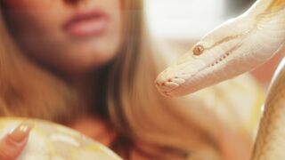 "Serpent Secrets: Exploring the Enigmatic World of Snakes"