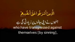 Surah Az Zumar _ Ayah 53 _ Quran Whatsapp Status With Urdu Translation