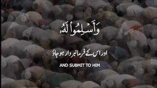 Surah Az-Zumar_Ayah 54_Quran Beautiful Recitation by Qari Samir Ezzat_Qurann Urd