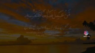 Surah Fussilat _ Ayah 46_ Quran Urdu Whatsapp Status _ Urdu Whatsapp Status _ Ur