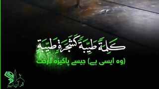 Surah Ibrahim Ayah 24-27 _ Quran Whatsapp Status _ Quran urdu