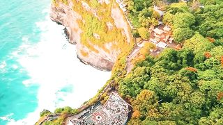 "Journey to Natural Paradise: Meeting Wildlife and Flora"