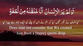 surah Yaseen Ayah 77-80 __ Quran Whatsapp Status __ Quran urdu