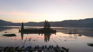 "Nature in Motion: A Captivating Voyage"
