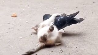 Unlikely friends...????????????️